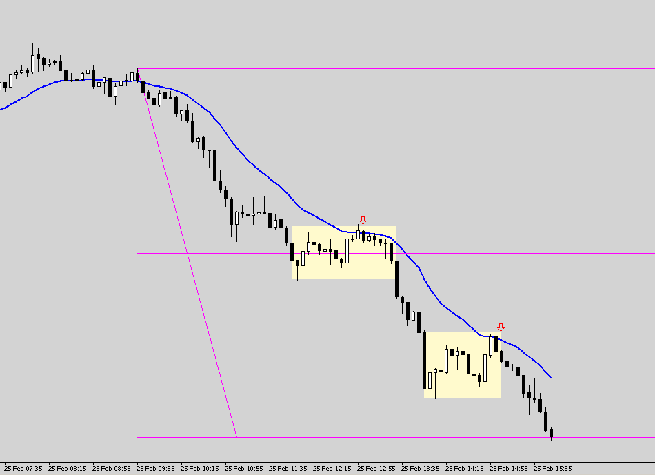 The forex 100 pips club