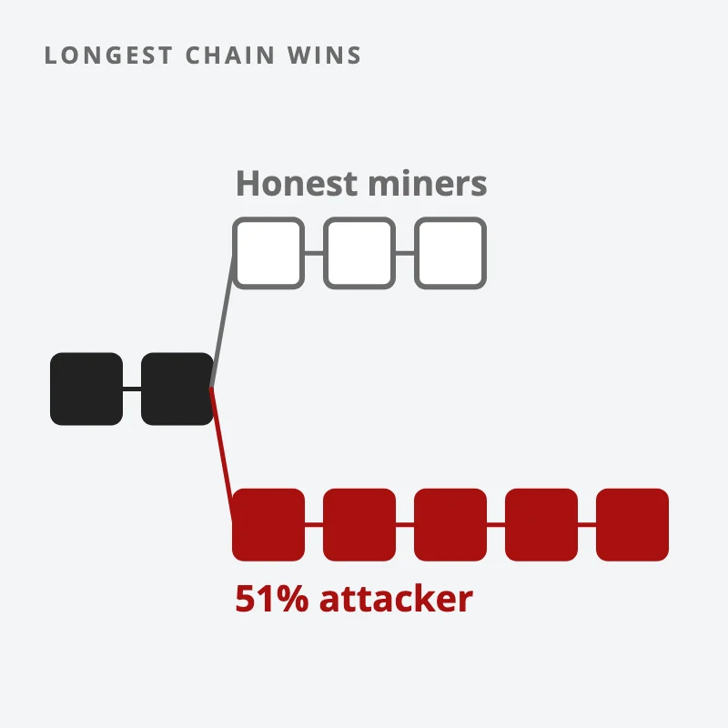 A blockchain forks: honest miners add a short branch while a 51% attacker builds a longer red branch, and the longer chain wins