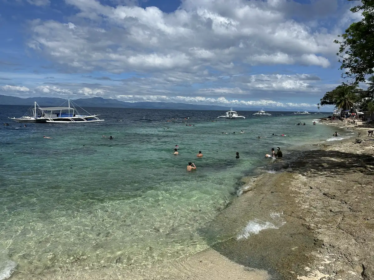 Snorkellers swimming out from the Moalboal reef edge