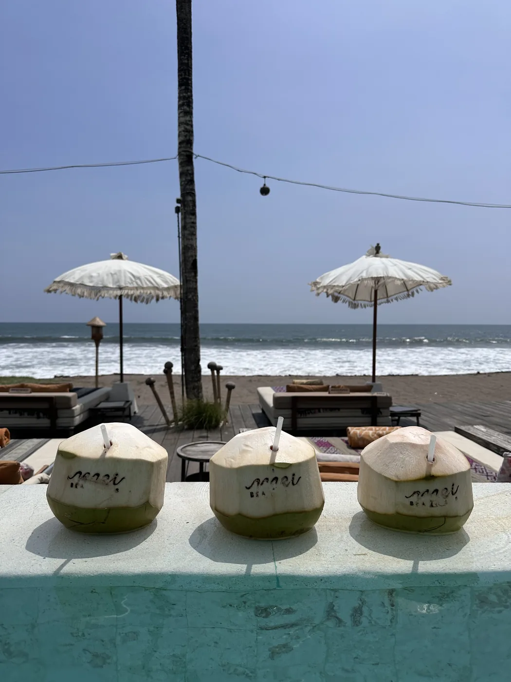 Three coconuts on a beach-club pool edge, surf behind