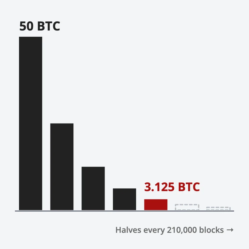 Bars showing the new bitcoin per block halving step by step, from 50 BTC at the start to 3.125 BTC today, with later halvings smaller still
