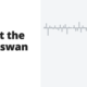 Expect the black swan - book summary