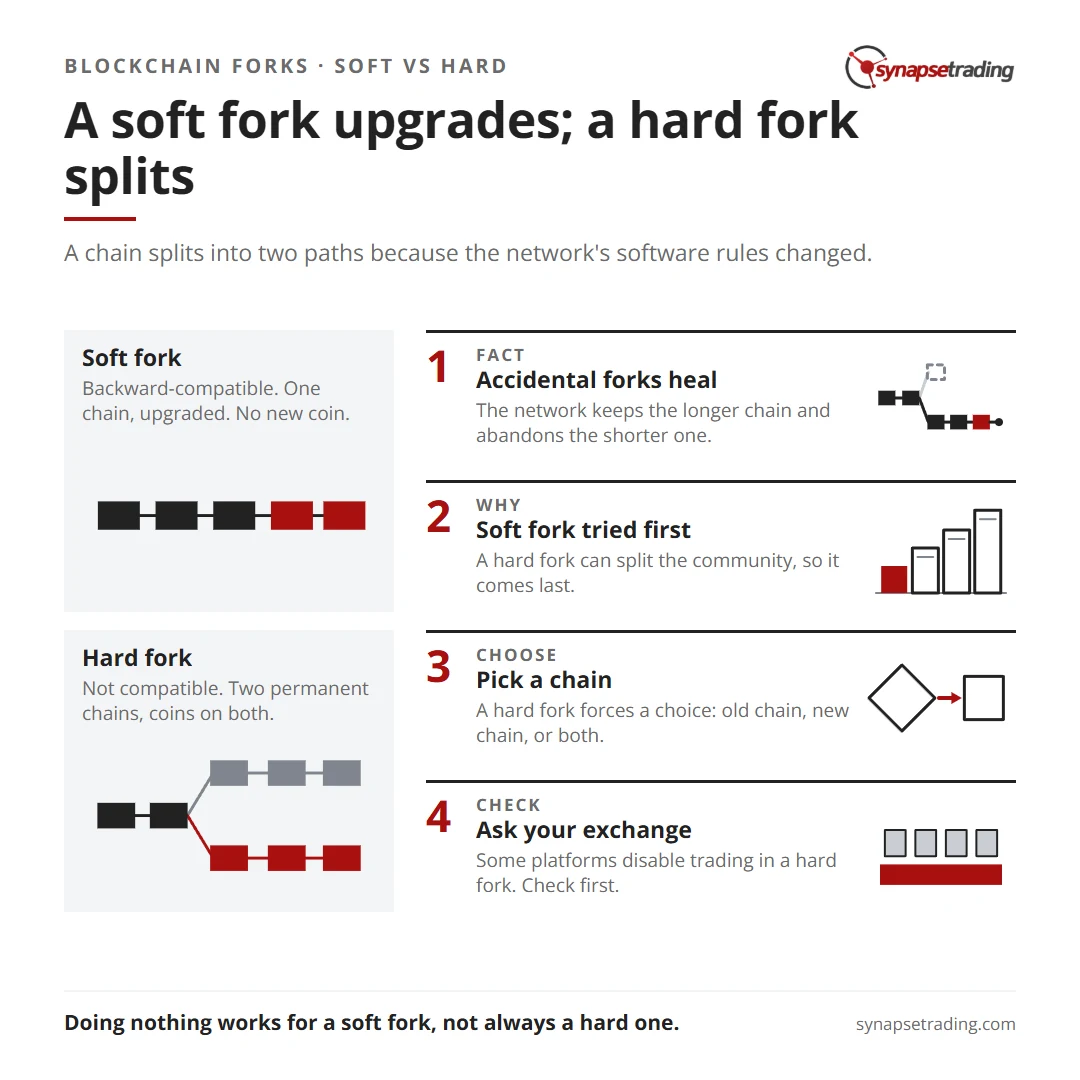 A soft fork upgrades; a hard fork splits. Summary card for the post: What are Blockchain Forks & How do they Affect Your Trading Platform?.