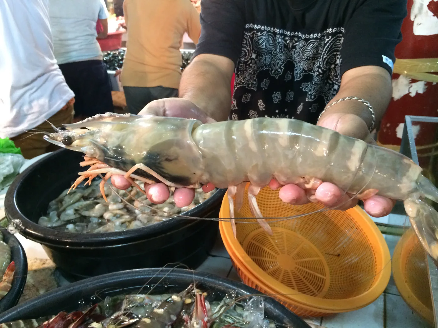 A giant prawn held up over the tanks at the seafood market