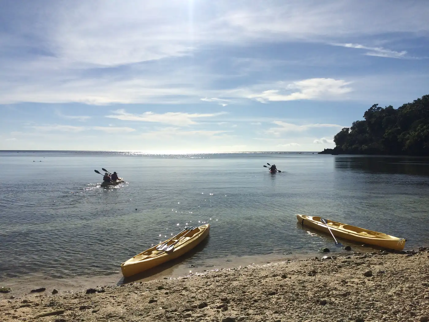 Two yellow kayaks on a quiet island cove