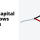 Why capital outgrows wages - book summary