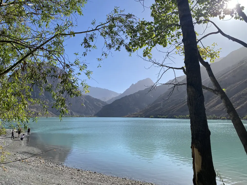 Iskanderkul lake framed by a tree in the Fann Mountains