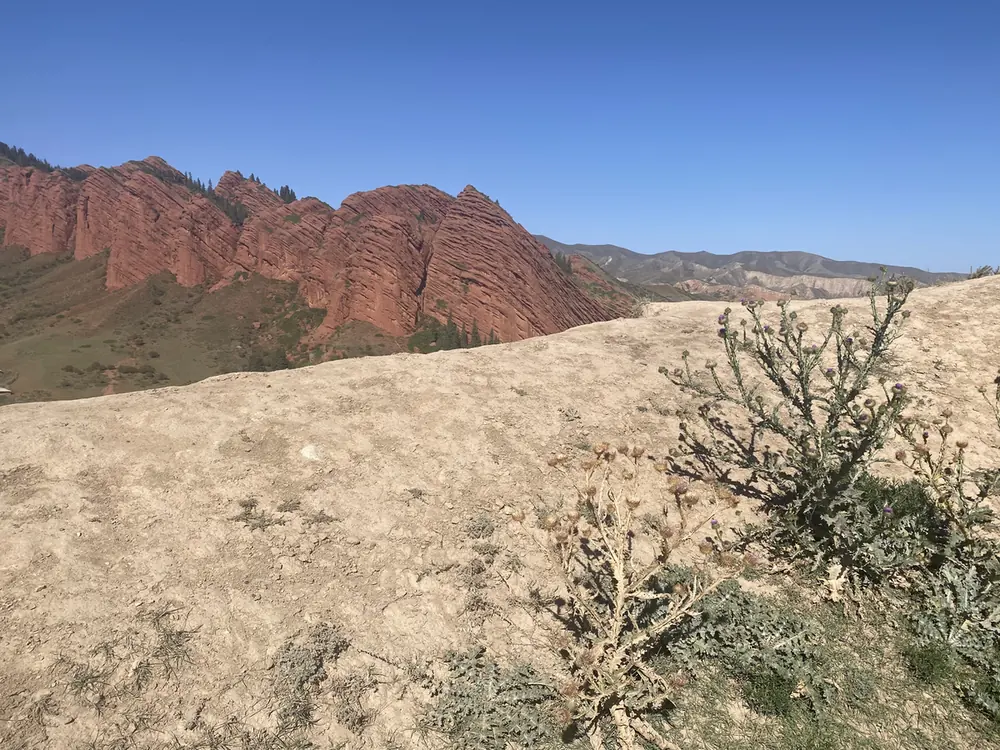Red sandstone cliffs at Jeti-Oguz