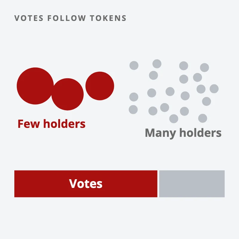 A few big token holders and many small ones; the vote bar below is mostly taken by the few big holders