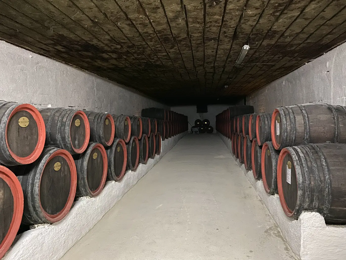 A barrel-lined underground road in the Cricova cellars