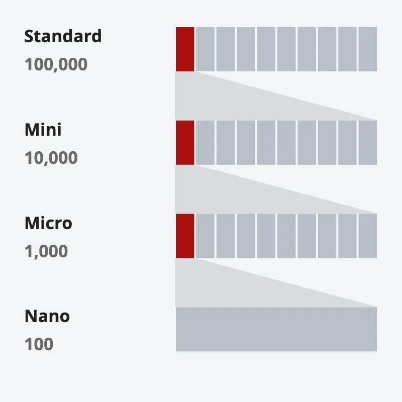 Standard, mini, micro and nano lots of 100,000, 10,000, 1,000 and 100 units as rows of cells; one red cell of each row opens out into the whole row below