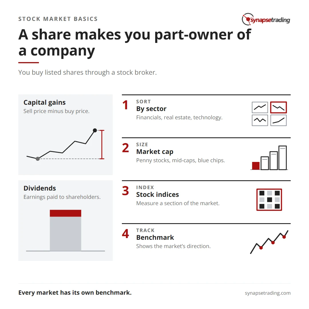 A share makes you part-owner of a company. Summary card for the post: Stock Market Basics.
