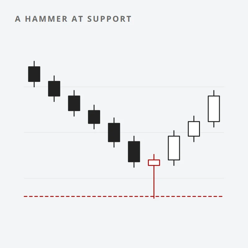 Chart: a hammer forms at a support line after a decline, and price turns up