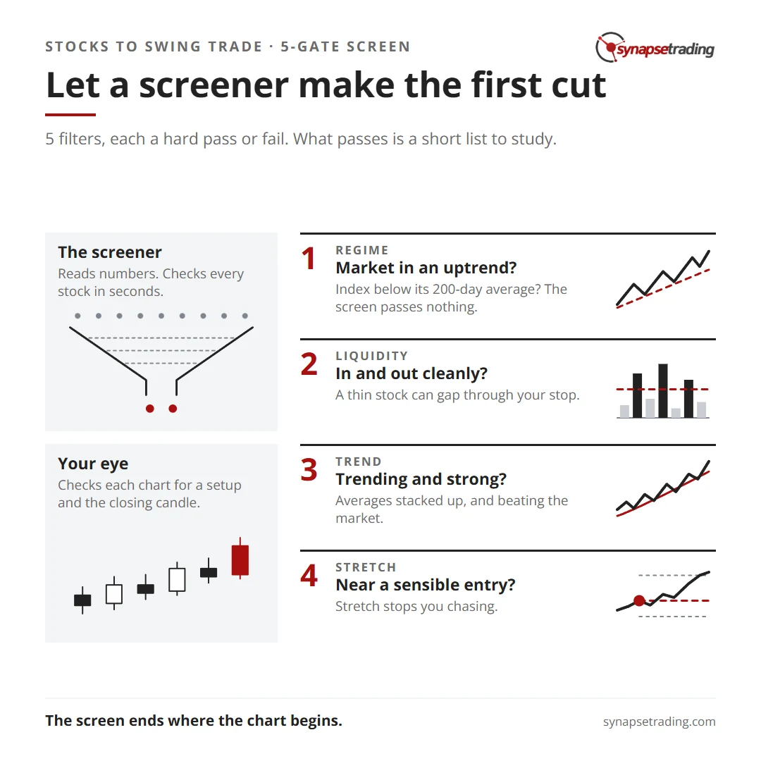Let a screener make the first cut. Summary card for the post: How to Find Stocks to Swing Trade: The Screener Settings That Do the First Cut.