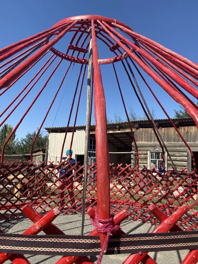 Red roof poles and lattice of a yurt frame going up