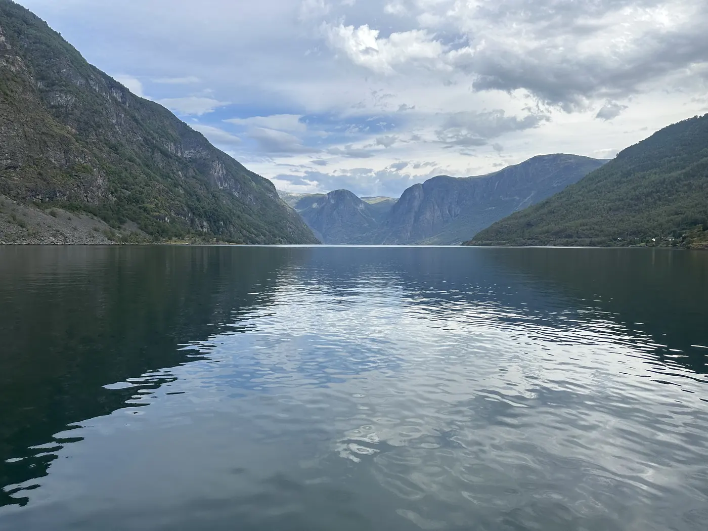 Still water on the fjord cruise