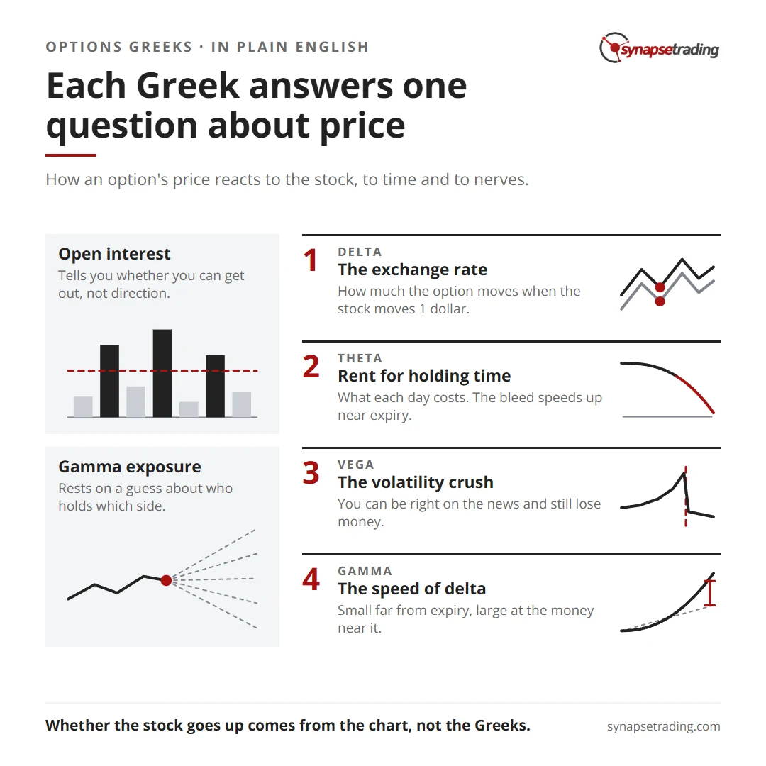 Each Greek answers one question about price. Summary card for the post: Options Greeks Explained: What Each Number Actually Tells You.