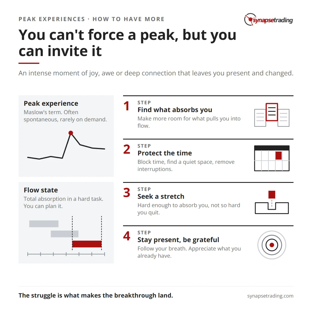 You can't force a peak, but you can invite it. Summary card for the post: What are Peak Experiences, and How to Get More of it in Your Life?.