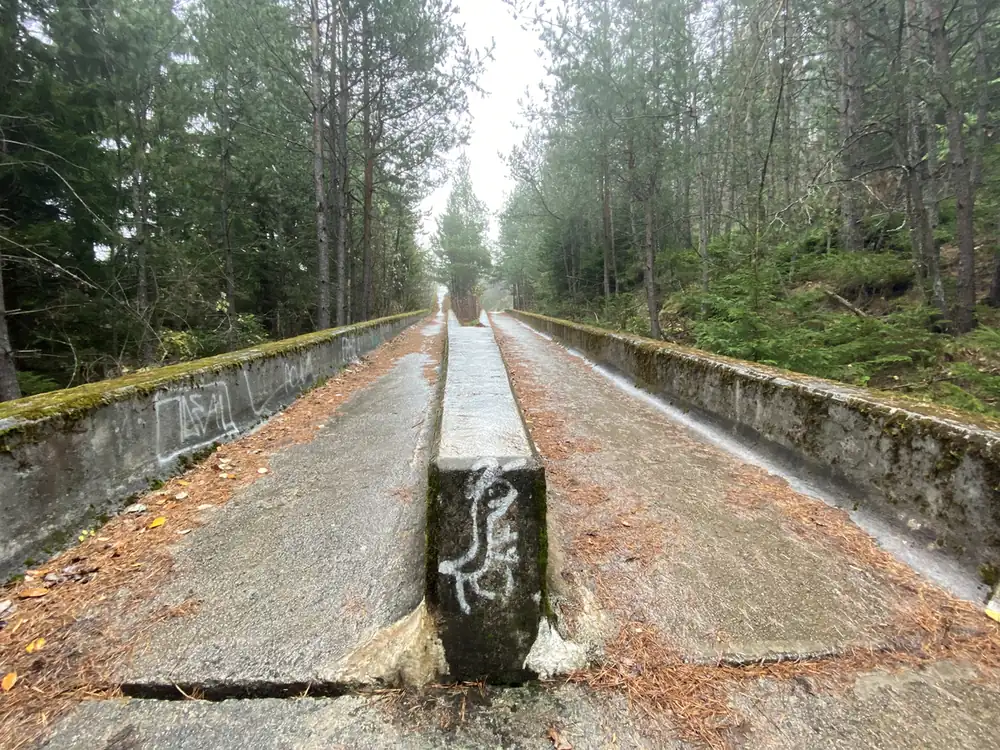 A straight stretch of the abandoned Olympic bobsleigh track in the pine forest on Trebevic