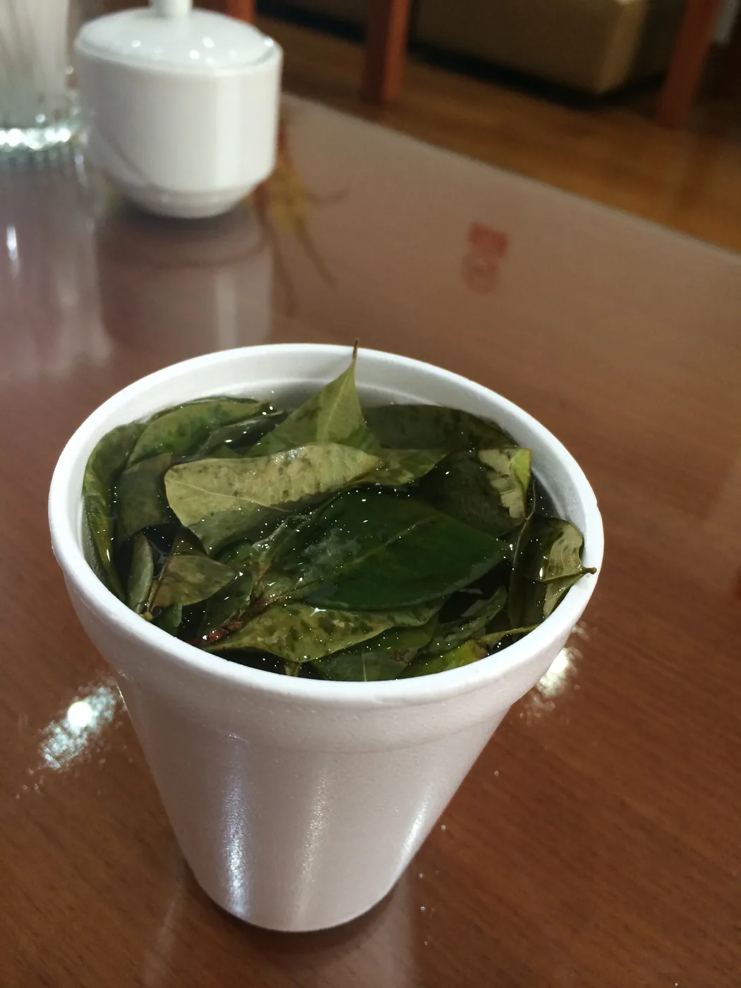 A cup of coca leaf tea