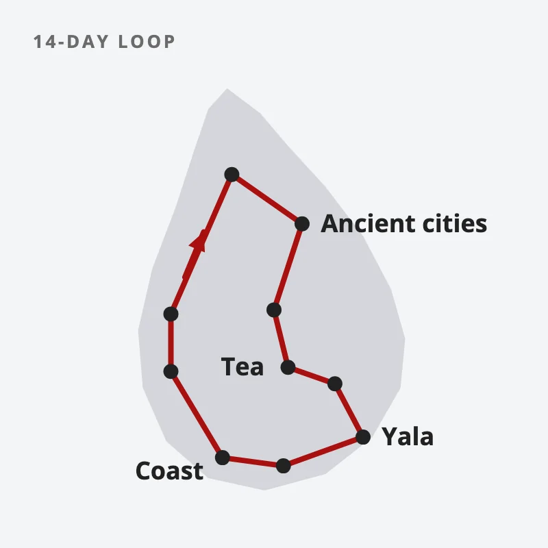 A sketch map of Sri Lanka with a red loop route from the west coast north to the ancient cities, through tea country, down to Yala and round the south coast