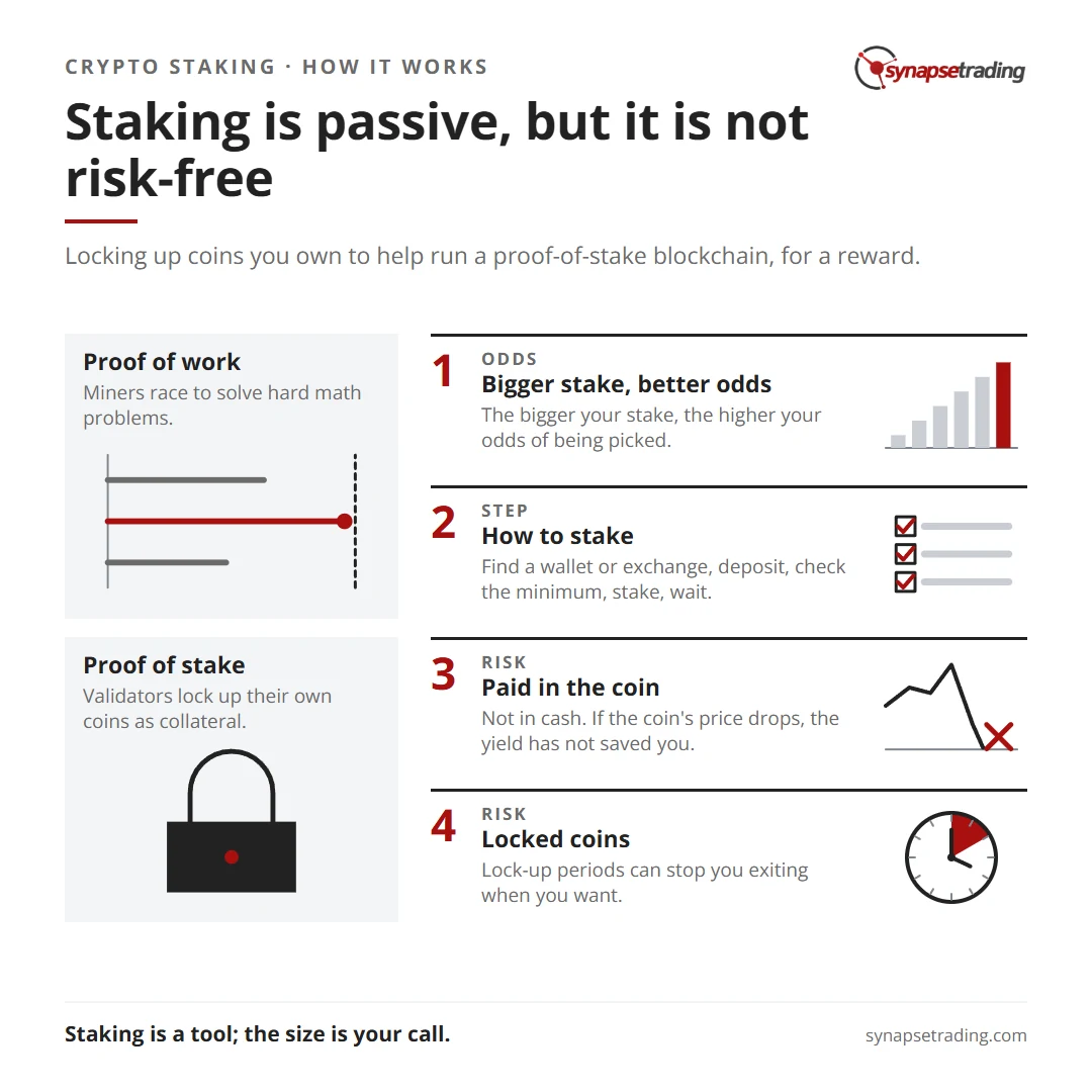 Staking is passive, but it is not risk-free. Summary card for the post: How to Stake on Proof-of-Stake Blockchains for Passive Crypto Income.