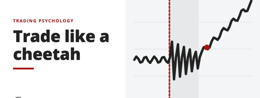 Trade like a cheetah - trading psychology
