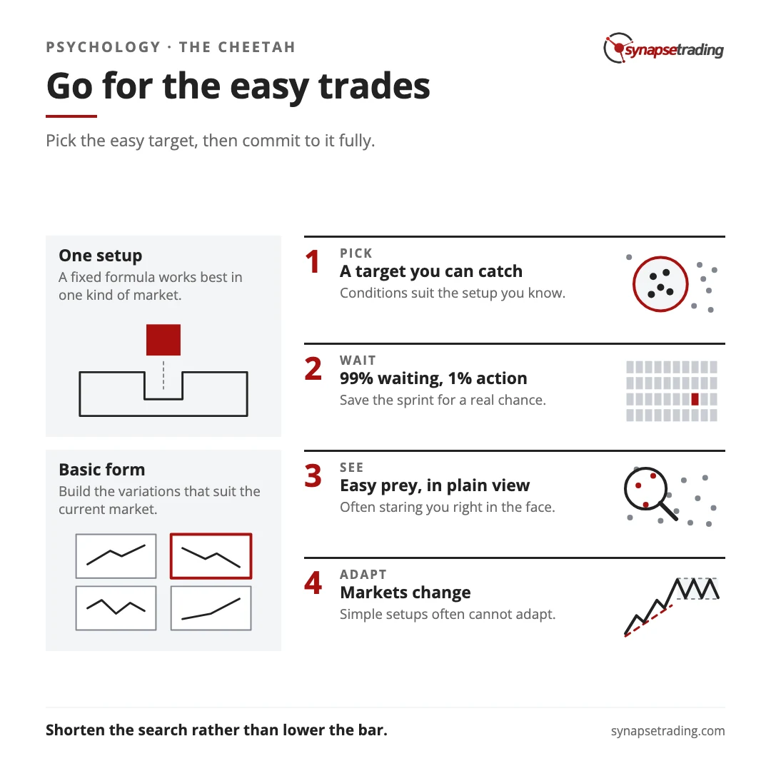 Go for the easy trades. Summary card for the post: The Cheetah and the Trader - How to Go for the Kill.
