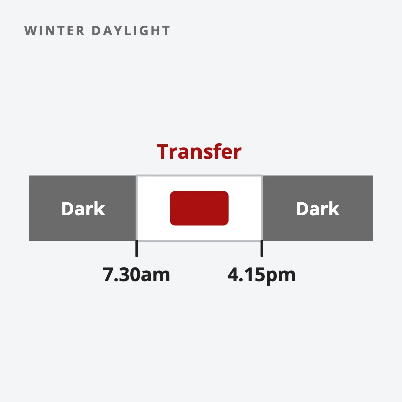 A day drawn as one bar, dark at both ends, with daylight from 7.30am to 4.15pm and a transfer block in the middle of the light